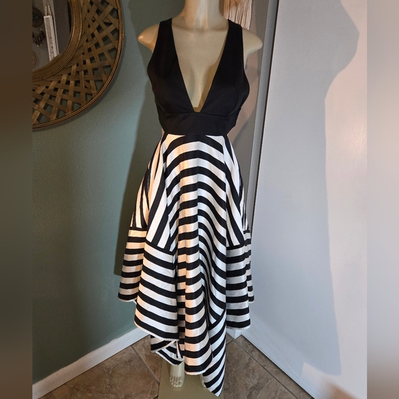 VGUC Nicholas semi formal dress size 4 - Picture 1 of 14